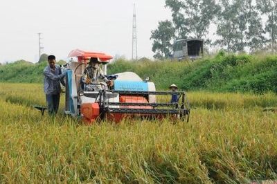 Khi người nông dân trở thành 'chiến sĩ khí hậu'