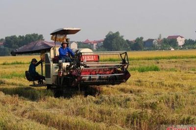 Nông dân làm giàu cho đất từ chế phẩm sinh học