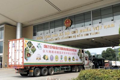 Hải quan ra 'lệnh khẩn' thông quan sầu riêng ngay trong ngày