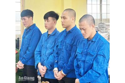 Đục tường trại tạm giam bỏ trốn, 4 bị cáo hầu tòa