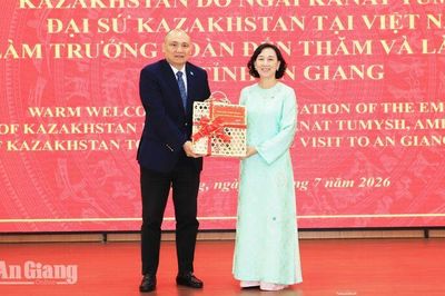 An Giang xúc tiến dự án tái chế phụ phẩm lúa gạo 325 triệu USD