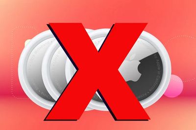 Mẹo bảo vệ thú cưng: Tại sao không nên dùng Apple AirTag để theo dõi vị trí?