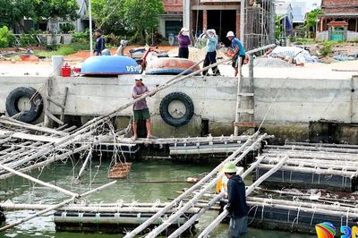 Dự án Nâng cấp khu neo đậu tránh trú bão An Hòa kết hợp cảng cá Tam Quang: Người dân Núi Thành đồng thuận, tự nguyện tháo dỡ lồng nuôi, bàn giao mặt bằng