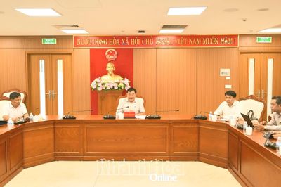Phó Chủ tịch UBND tỉnh Trịnh Minh Hoàng làm việc với Tập đoàn MyLan về chuyển đổi số trong nông nghiệp