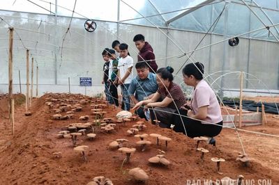 Vững tay nghề, chắc cơ hội việc làm