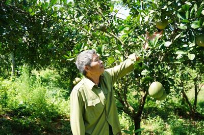 Cựu thanh niên xung phong làm kinh tế giỏi