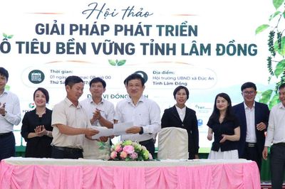 Lâm Đồng định hướng phát triển bền vững ngành hồ tiêu