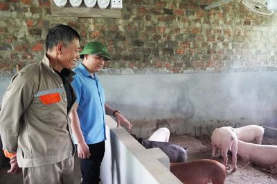 Chăn nuôi theo hướng xanh, bền vững