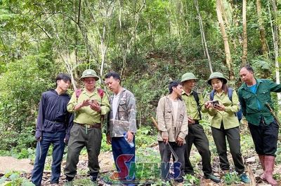 Giữ màu xanh ở rừng đặc dụng phòng hộ Sốp Cộp