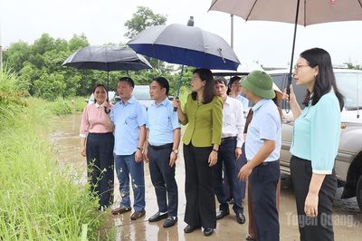 Giám sát về quản lý, sử dụng đất tại phường Bình Thuận