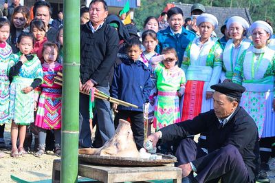 Đánh thức ký ức Gầu Tào