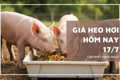 Ngày 17/7: Giá heo hơi dao động từ 62.000 - 67.000 đồng/kg