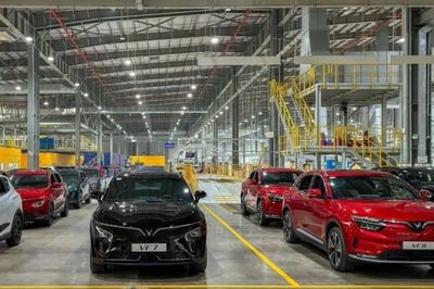 Hải Phòng triển khai Chiến dịch 'Làm sạch mã số thuế - Tháo gỡ điểm nghẽn trong kinh doanh'