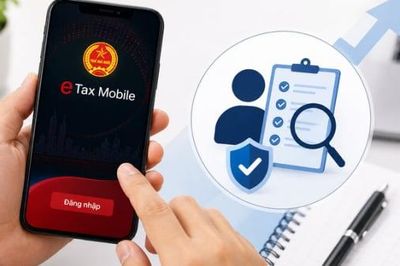 Cơ quan Thuế đề nghị người dân kiểm tra ngay thông tin thu nhập trên eTax Mobile