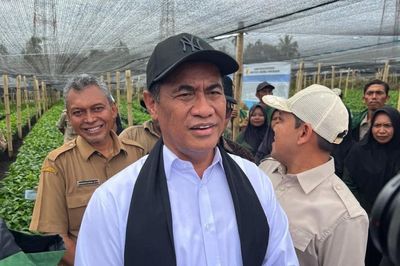 Indonesia lên kế hoạch xuất khẩu 6,25 tỷ USD cà phê mỗi năm