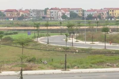 Hà Nội hỗ trợ chuyển đổi tạo việc làm bằng giao đất dịch vụ