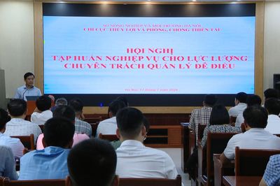 Nâng cao nghiệp vụ xử lý vi phạm trong lĩnh vực đê điều