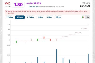 Cổ phiếu VKC tăng trần 6 phiên liên tiếp
