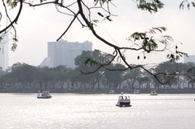 Sắc hè dịu dàng bên hồ Trúc Bạch