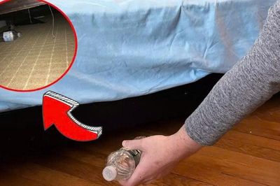 Tại sao bạn nên ném chai nước vào gầm giường ngay sau khi nhận phòng khách sạn?