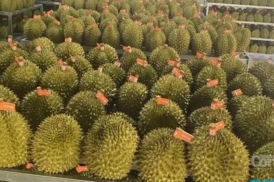 Hải quan yêu cầu thông quan nhanh nông sản xuất khẩu