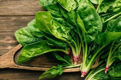Mùa hè đừng bỏ qua 4 loại rau này: Bổ sung nước, nhiều chất xơ, tốt cho đường ruột