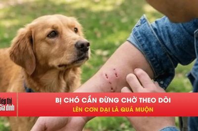 Bị chó cắn phải làm gì? Đừng để quá muộn khi bệnh dại đã phát tác.