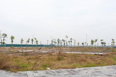 Đấu giá đất đã qua thời kỳ phải mua bằng mọi giá