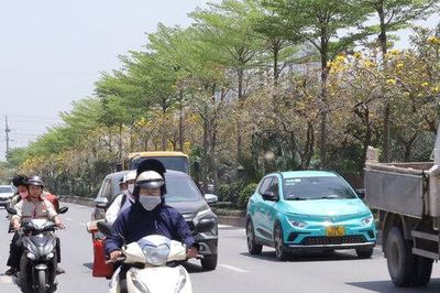 Khi dự báo thời tiết trở thành công cụ điều hành quốc gia