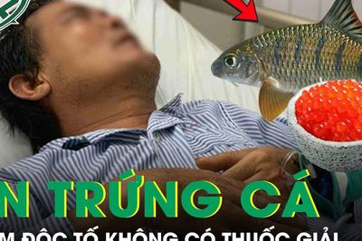 Người đàn ông 45 tuổi nhiễm phải độc tố không có thuốc giải sau khi ăn trứng cá chép