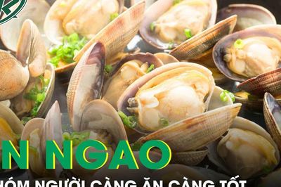 Đây là 4 nhóm người càng ăn ngao càng tốt cho sức khỏe