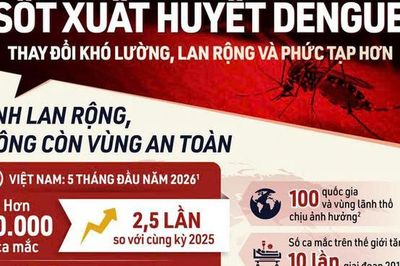 Sốt xuất huyết Dengue: Thay đổi khó lường, lan rộng và phức tạp hơn