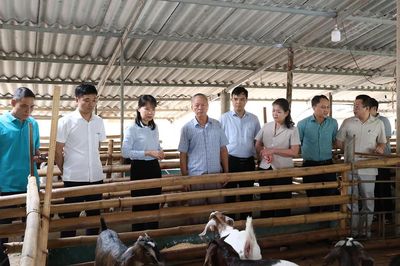 Tuyên Quang: Khơi dậy nội lực, kiến tạo diện mạo mới ở Yên Sơn