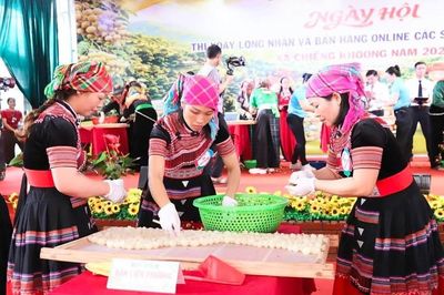 Mở lối đưa đặc sản nhãn Chiềng Khoong vươn xa bằng nền tảng số