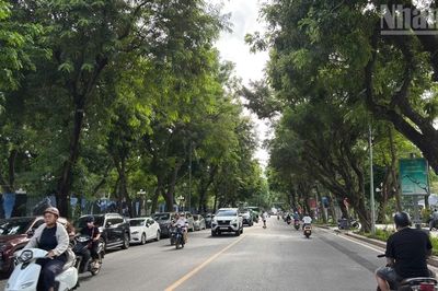 [Ảnh] Toàn cảnh khu vực chuẩn bị xây quảng trường trước Công viên Thống Nhất