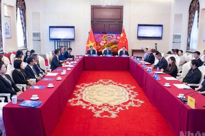 Thúc đẩy giao lưu, hợp tác giữa doanh nghiệp trẻ hai nước Việt Nam-Trung Quốc