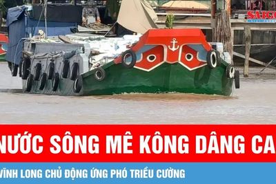 Nước sông Mê Kông dâng cao, Vĩnh Long chủ động ứng phó triều cường