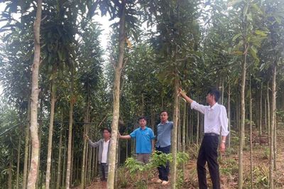 Nhà giáo giữ bình yên nơi cực Tây Tổ quốc