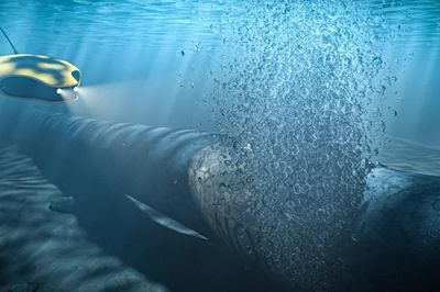 Vụ nổ đường ống Nord Stream: Nhà điều hành Nga thua kiện đòi bồi thường bảo hiểm 580 triệu Euro, phán quyết gây tiền lệ nguy hiểm?
