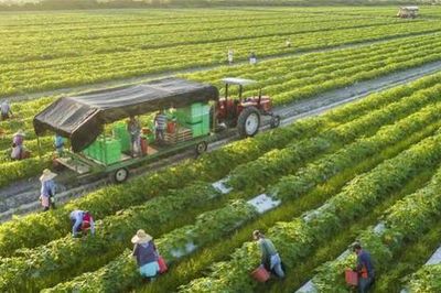 Cần cơ chế khuyến khích đầu tư vào nông nghiệp
