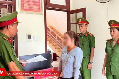 Khởi tố bị can trốn thuế hơn 2,45 tỷ đồng