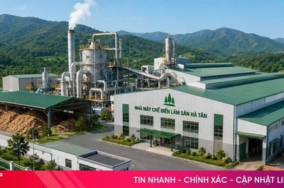 'Làn sóng' đầu tư mới tạo xung lực phát triển cho Hà Tĩnh