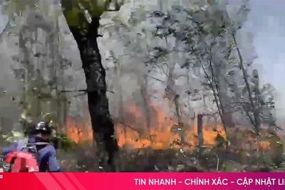 Huy động lực lượng tập trung chữa cháy rừng ở xã Cẩm Lạc