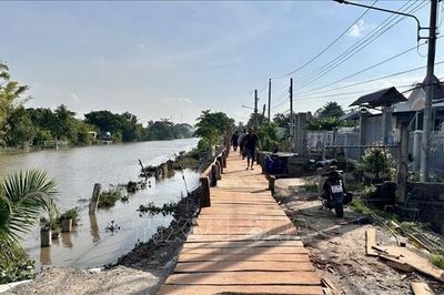 Bắc cầu tạm qua khu vực sạt lở bờ bắc kênh Đòn Dong (An Giang)