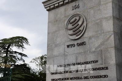 Mỹ đề nghị cải cách WTO phải dựa trên các đề xuất cụ thể của thành viên