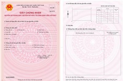 Quảng Trị tập trung khắc phục sai lệch Giấy chứng nhận quyền sử dụng đất