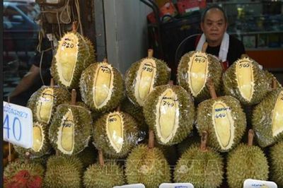Sầu riêng miền Nam Thái Lan đối mặt khủng hoảng lớn nhất trong 7 năm do dư cung
