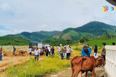 Trao sinh kế tiếp sức hộ nghèo