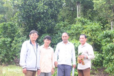 Đổi thay cuộc sống của đồng bào dân tộc Hoa ở ấp Lam Sơn