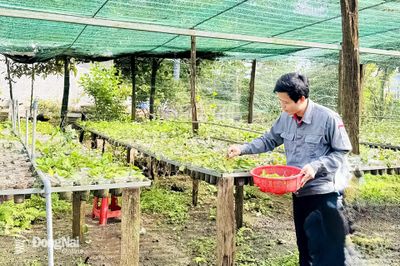 Giấc mơ nông nghiệp xanh đang hình thành